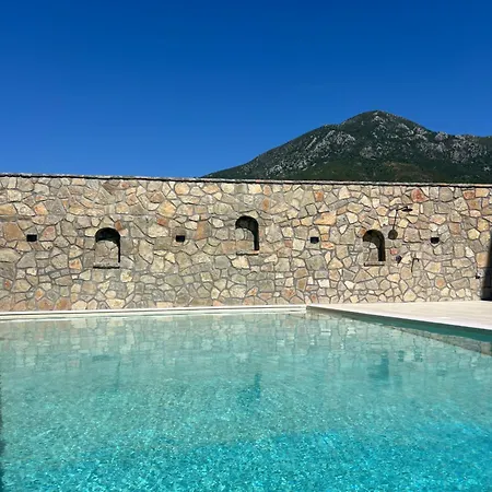 Gjoni Kallmet i Madh