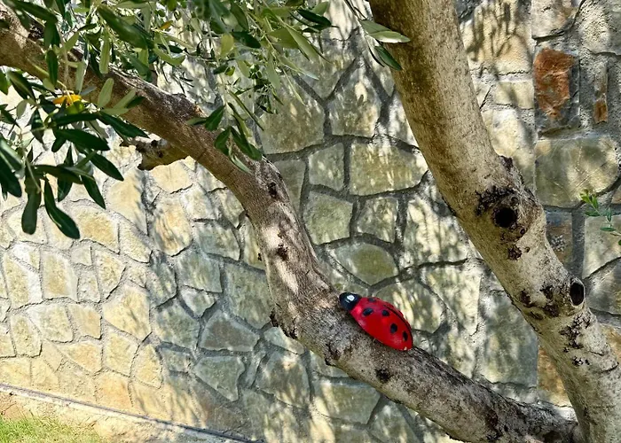 Gjoni Apartamento Kalmet